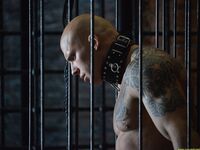 Dangerous Beast As A Gift - Part Ii - RusCapturedBoys - Russian