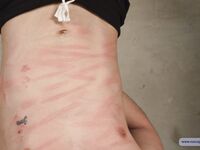 Daring Slave Alex - Part Ii - RusCapturedBoys - Electric Play