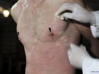 Especially Dangerous Criminal-2 - Part Ii - RusCapturedBoys - Muscle