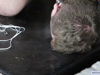 Former Bodybuilder Roman - Final Part - RusCapturedBoys - Electric Play