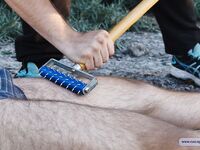Fresh Meat For The Master - Part Iv - RusCapturedBoys - Amateur