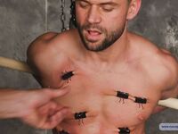 Insurance Agent Yegor - Part Ii - RusCapturedBoys - Electric Play