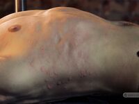 Military Story Ii - Final Part - RusCapturedBoys - Spanking