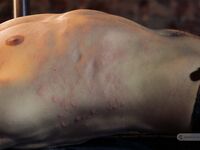 Military Story Ii - Final Part - RusCapturedBoys - Spanking