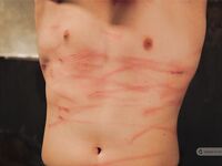 Military Story Ii - Part I - RusCapturedBoys - Electric Play