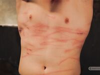 Military Story Ii - Part I - RusCapturedBoys - Electric Play