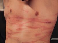 Military Story Ii - Part I - RusCapturedBoys - Electric Play