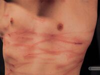 Military Story Ii - Part I - RusCapturedBoys - Electric Play