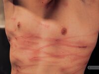 Military Story Ii - Part I - RusCapturedBoys - Electric Play