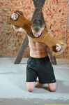 New Punishment For Dacha'S Prisoner - RusCapturedBoys - Twink