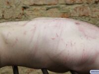 Pain Slave Pavel - Final Part - RusCapturedBoys - Military