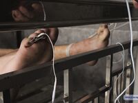 Prisoner Andrei - Final Part - RusCapturedBoys - Muscle