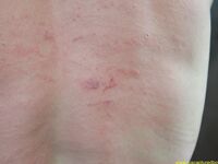 Punishment For Unsubmissive Prisoner Ii - RusCapturedBoys - Twink