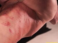 Punishment Of The Rude Slave Final - RusCapturedBoys - Russian