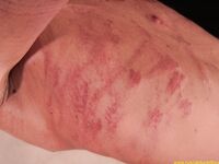 Punishment Of The Rude Slave Final - RusCapturedBoys - Russian