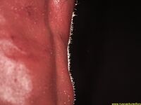 Punishment Of The Rude Slave Part I - RusCapturedBoys - Twink