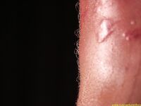 Punishment Of The Rude Slave Part I - RusCapturedBoys - Twink
