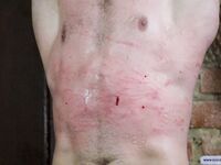 Sergeant Valentine - Part Ii - RusCapturedBoys - Amateur