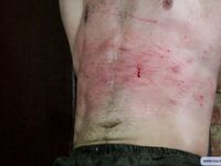 Sergeant Valentine - Part Ii - RusCapturedBoys - Amateur