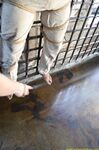 Skinny Prisoner #108 Part Ii - RusCapturedBoys - Muscle