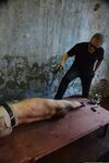 Slava - The Prisoner Of War - Final Part - RusCapturedBoys - RusCapturedBoys