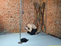 Slave Factory - Vladimir - Part Ii - RusCapturedBoys - Electric Play