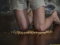 Slaves Competition - Part Ii - RusCapturedBoys - Twink