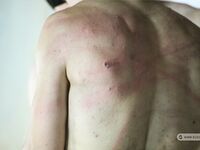 Slaves Competition Ii - Final Part - RusCapturedBoys - RusCapturedBoys