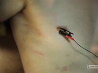 Slaves Competition Ii - Part Iv - RusCapturedBoys - BDSM
