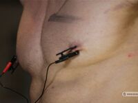 Slaves Competition Ii - Part Iv - RusCapturedBoys - BDSM