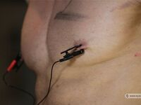 Slaves Competition Ii - Part Iv - RusCapturedBoys - BDSM