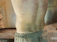 Slaves Competition Ii - Part V - RusCapturedBoys - Twink