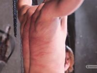Slaves Gladiators - Part Ii - RusCapturedBoys - BDSM