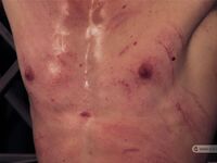 Special Forces Commando - Part Ii - RusCapturedBoys - Amateur