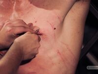 Special Forces Commando - Part Ii - RusCapturedBoys - Amateur