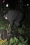 Stanislav - Farm Worker - RusCapturedBoys - Russian
