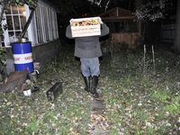 Stanislav - Farm Worker - RusCapturedBoys - Russian