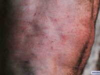 Taming Of The Beast - Part I - RusCapturedBoys - RusCapturedBoys
