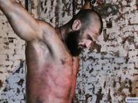 Taming Of The Beast - Part I - RusCapturedBoys - RusCapturedBoys