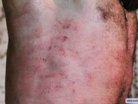 Taming Of The Beast - Part I - RusCapturedBoys - RusCapturedBoys