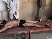 Taming Of The Beast - Part Ii - RusCapturedBoys - RusCapturedBoys