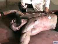 Taming Of The Beast - Part Ii - RusCapturedBoys - RusCapturedBoys