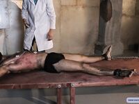 Taming Of The Beast - Part Ii - RusCapturedBoys - RusCapturedBoys
