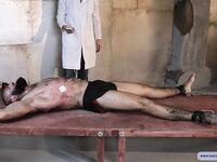 Taming Of The Beast - Part Ii - RusCapturedBoys - RusCapturedBoys