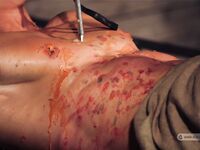The Betting Of Two Masters - Part Ii - RusCapturedBoys - RusCapturedBoys