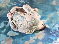 The Training Of Slave Oleg - Final Part - RusCapturedBoys - Jocks
