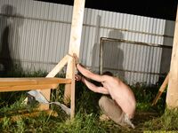 Trap For Escaped Captives 8 - RusCapturedBoys - Spanking
