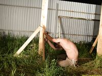 Trap For Escaped Captives 8 - RusCapturedBoys - Spanking