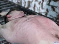 Young Captive Vadim - Part Ii - RusCapturedBoys - Russian