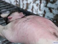 Young Captive Vadim - Part Ii - RusCapturedBoys - Russian